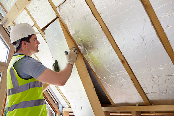 Best Insulation Maintenance and Repair in Indian River Estates, FL